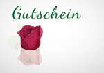 Gutschein Rose